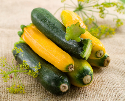La courgette, peu calorique et efficace contre l'hypertension