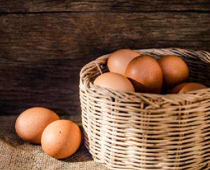 L'oeuf : quels atouts santé ?