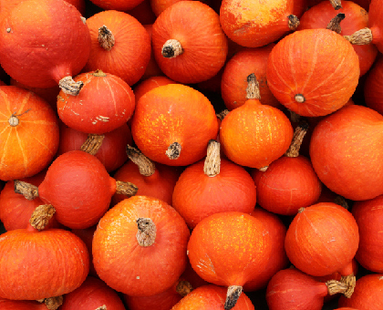 Le potimarron, un allié minceur qui donne bonne mine !