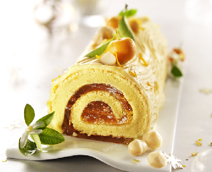 Buche de Noël à la mandarine et noix de Macadamia