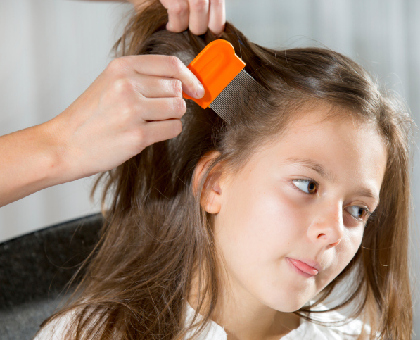 Poux : n'utilisez pas d'insecticide vétérinaire sur vos enfants !