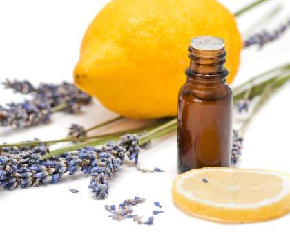 Quelles huiles essentielles pour éloigner les moustiques ?