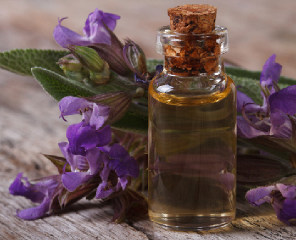 Apaiser les piqûres de moustiques avec des huiles essentielles