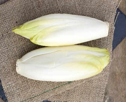 L’endive : l’alliée minceur