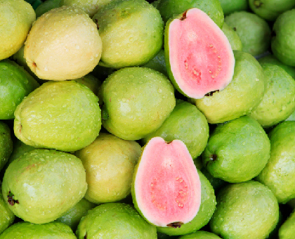 Le rôle des vitamines : la vitamine C