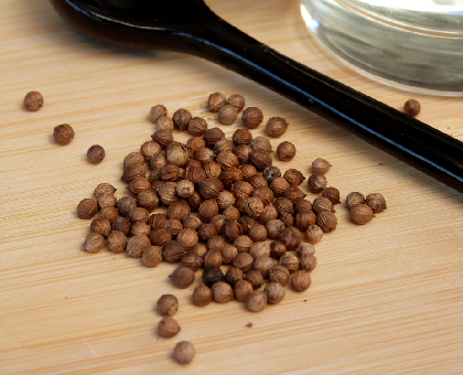 Recette maison : Lutter contre les ballonnements grâce aux graines de coriandre