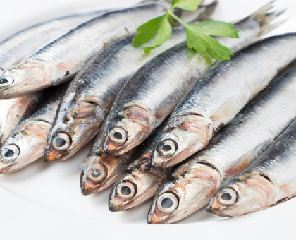 Les pouvoirs de la coenzyme Q10