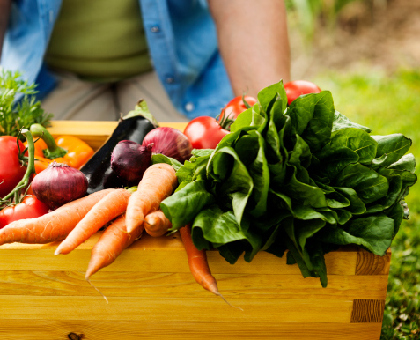 Avec les légumes primeurs, je fais le plein de vitamines !