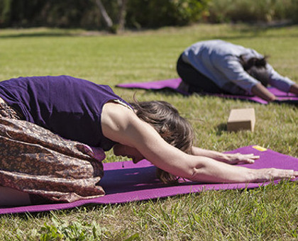 Stage de yoga Asana et Pranayama dans un château