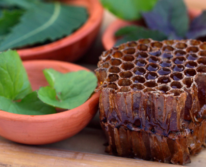 La propolis verte aide à lutter contre les microbes et virus de l'hiver