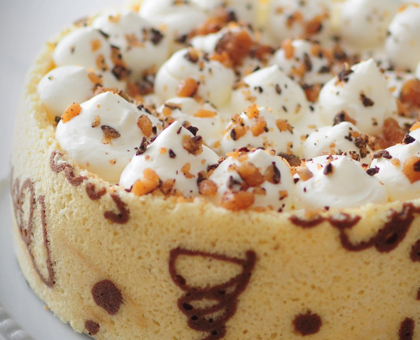 Entremet Magnificat tendre choco et pommes