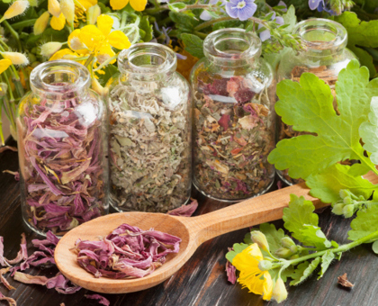 Bourgeons, feuilles, racines…Ces plantes qui reboostent naturellement la libido