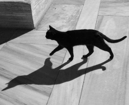 Pourquoi suis-je aussi superstitieuse ?