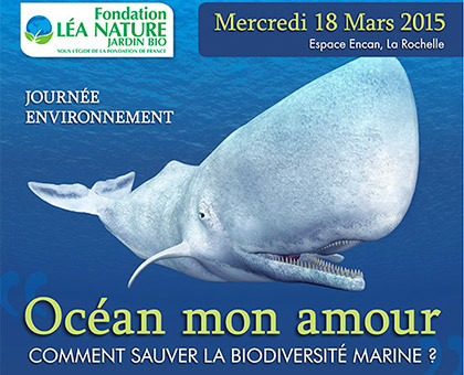 Une journée dédiée à la protection des océans à La Rochelle