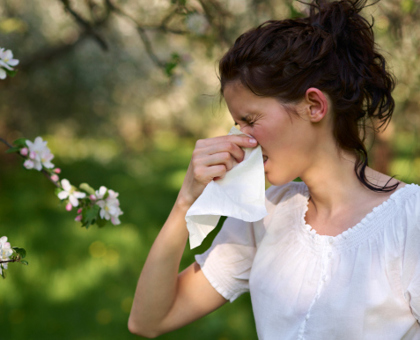 Un traitement peu connu contre les allergies : la micro-immunothérapie
