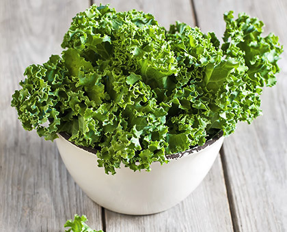 Le kale, un super aliment