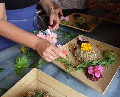 Des stages de cuisine naturelle et saine avec Terre Vivante