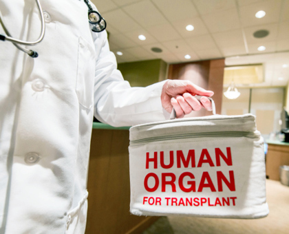 Vers un don d'organes automatique sans l'accord de la famille ?