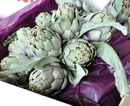 L’artichaut, l'ami de notre flore intestinale