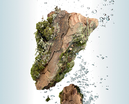 La cosmétique naturelle Made in Normandie avec b'o Resort