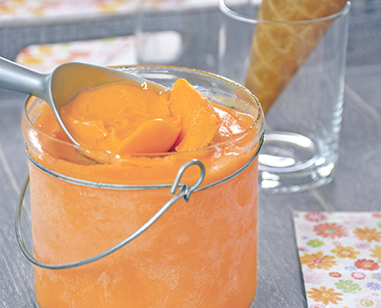 Sorbet maison au melon