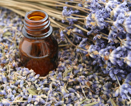 5 huiles essentielles indispensables pour partir en vacances