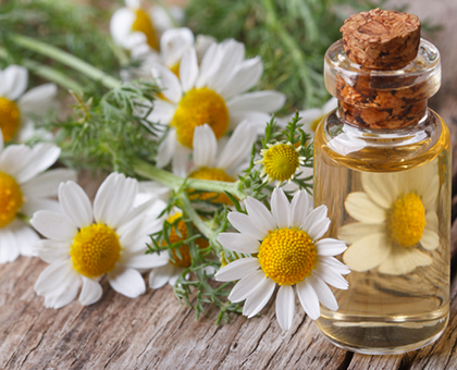 Psoriasis : 3 huiles essentielles pour apaiser les symptômes