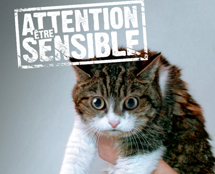 La Fondation 30 Millions d'Amis se mobilise contre l'abandon des animaux