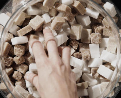 Une émission à ne pas manquer ce soir sur France 5  