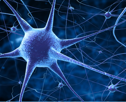 Un nouvel espoir de traitement pour la sclérose en plaques