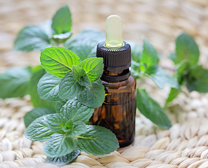 10 remèdes naturels pour lutter contre le mal des transports