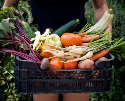 Hypothyroïdie : Quel régime alimentaire adopter ?