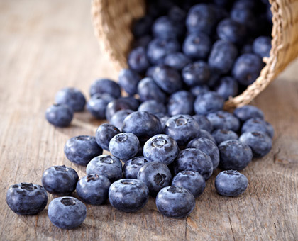 La myrtille : 5 bonnes raisons de picorer cette baie d’été