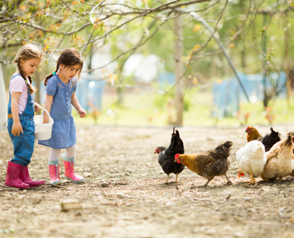 Vivre à la campagne éviterait les problèmes d’asthme