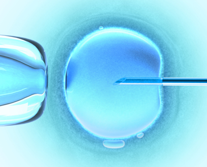 Découverte d’un biomarqueur pour prédire les chances de réussite d’une FIV