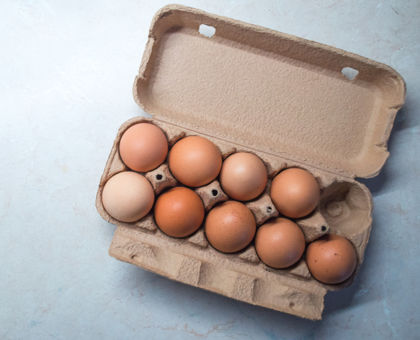 Les mystères de l’oeuf : un documentaire à suivre dimanche 27 septembre sur France 5