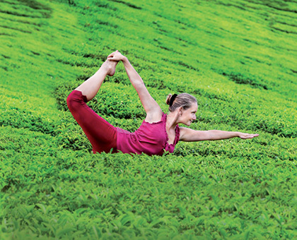 Vivez Nature, Ecohome et Yoga Festival Paris, 3 salons en 1 à la Porte de la Villette