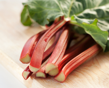 La rhubarbe : une nouvelle arme anti-cancer