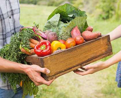 8 fruits et légumes qu'il vaut mieux consommer bio et local