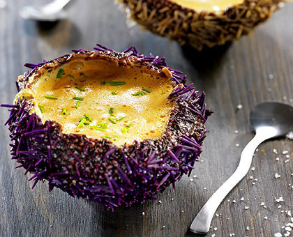 Crème d’oursin dans sa coque