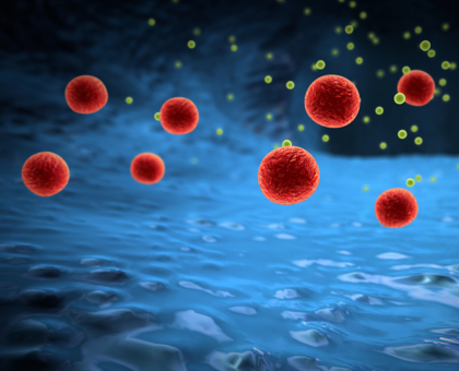 Les prébiotiques en prévention des allergies alimentaires