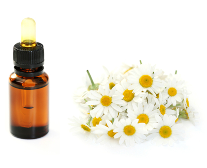 L’huile essentielle de Camomille romaine : contre les chocs émotionnels et les crises d’angoisse