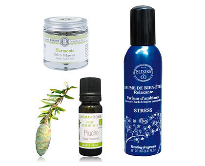 20 produits naturels pour surmonter les moments difficiles et vaincre les angoisses