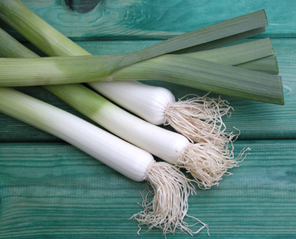 Vrai ou faux : Rien de tel que le poireau pour éliminer