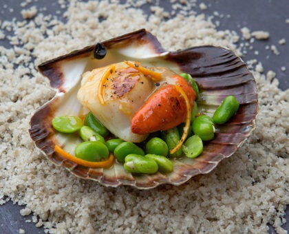 Saint-Jacques aux fèves et à la clémentine