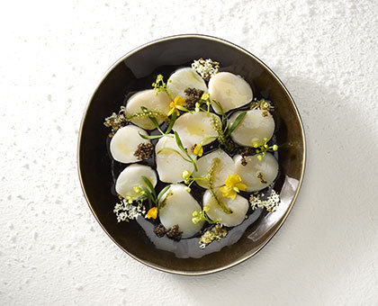 Coquilles Saint-Jacques marinées épicées au chocolat 