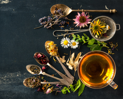 9 plantes pour prendre soin de son foie après les fêtes