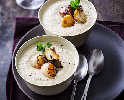 Crème d'endive aux noix de St Jacques et aux champignons