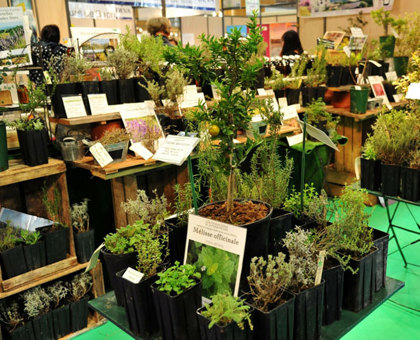 Le Salon Bien-être, Médecine douce & Thalasso : un rendez-vous à ne pas manquer en février !