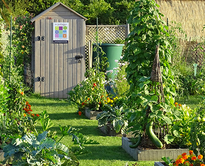 Formez-vous au jardinage en carrés